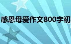 感恩母爱作文800字初一 感恩母爱作文800字