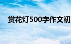 赏花灯500字作文初中 赏花灯500字作文