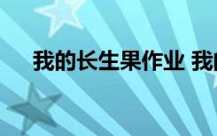 我的长生果作业 我的长生果作文500字