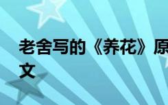 老舍写的《养花》原文 老舍《养花》课文原文