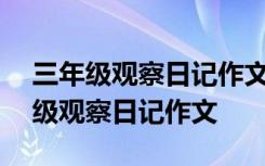 三年级观察日记作文300字关于动物的 三年级观察日记作文