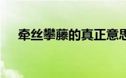 牵丝攀藤的真正意思 牵丝攀藤成语解释