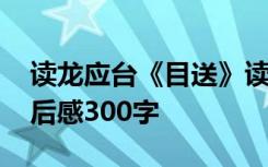 读龙应台《目送》读后感 龙应台《目送》读后感300字