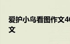 爱护小鸟看图作文400字 爱护小鸟的看图作文