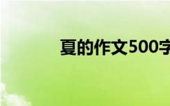 夏的作文500字左右 夏的作文