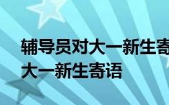 辅导员对大一新生寄语300字左右 辅导员对大一新生寄语