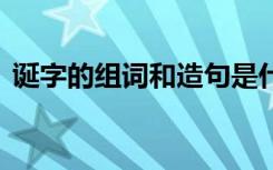 诞字的组词和造句是什么 诞字的组词和造句