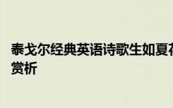 泰戈尔经典英语诗歌生如夏花 泰戈尔英文诗生如夏花原文及赏析