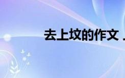 去上坟的作文 上坟作文600字