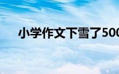 小学作文下雪了500字 小学作文下雪了