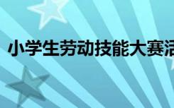 小学生劳动技能大赛活动总结 大赛活动总结