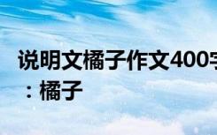 说明文橘子作文400字大全 说明文作文400字：橘子