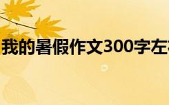 我的暑假作文300字左右 我的暑假作文300字