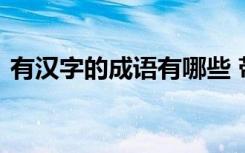 有汉字的成语有哪些 带有汉字的成语及解释