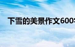 下雪的美景作文600字 美丽的下雪天作文