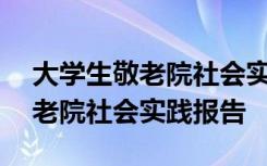 大学生敬老院社会实践报告800字 大学生敬老院社会实践报告