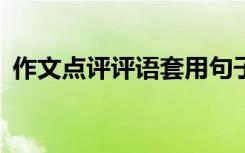 作文点评评语套用句子100字 作文点评评语