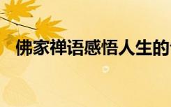 佛家禅语感悟人生的句子 感悟人生的句子