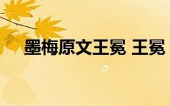 墨梅原文王冕 王冕《墨梅》注释及赏析