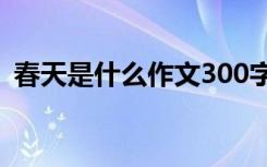 春天是什么作文300字左右 春天是什么作文