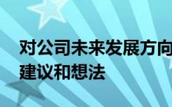 对公司未来发展方向的建议 对公司未来发展建议和想法