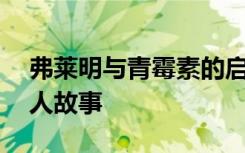 弗莱明与青霉素的启示 弗莱明与青霉素的名人故事