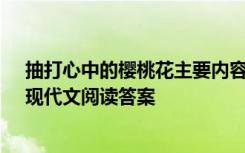 抽打心中的樱桃花主要内容是什么? 《抽打心中的樱桃花》现代文阅读答案