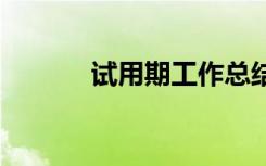 试用期工作总结 实习工作总结