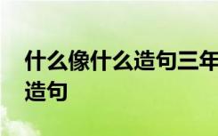 什么像什么造句三年级下册语文 什么像什么造句