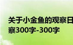 关于小金鱼的观察日记怎么写 小金鱼日记观察300字-300字