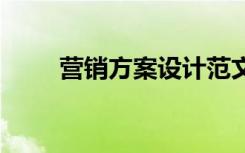 营销方案设计范文 营销方案策划书