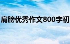 肩膀优秀作文800字初三 肩膀优秀作文800字