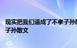 现实把我们逼成了不孝子孙散文全文 现实把我们逼成了不孝子孙散文