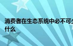 消费者在生态系统中必不可少 消费者在生态系统中的作用是什么