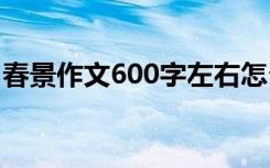 春景作文600字左右怎么写 春景的作文600字