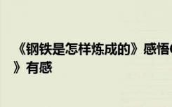 《钢铁是怎样炼成的》感悟600字左右 《钢铁是怎样炼成的》有感