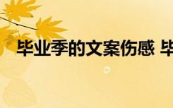 毕业季的文案伤感 毕业季哭到爆的美文案