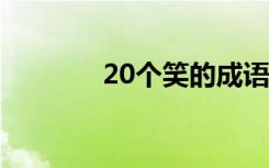 20个笑的成语 最新笑的成语