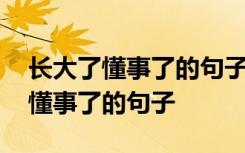 长大了懂事了的句子感觉没有快乐了 长大了懂事了的句子