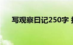 写观察曰记250字 描写观察日记250字