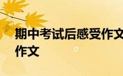 期中考试后感受作文450字 期中考试后感受作文