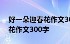 好一朵迎春花作文300字三年级 好一朵迎春花作文300字