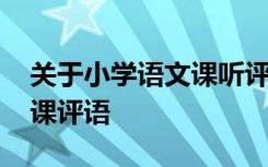 关于小学语文课听评课的评语 小学语文课听课评语