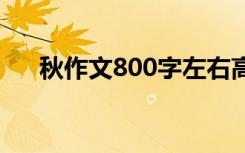 秋作文800字左右高中 秋至作文800字