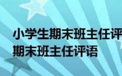 小学生期末班主任评语简短20字左右 小学生期末班主任评语