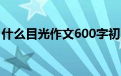 什么目光作文600字初中 什么目光作文600字