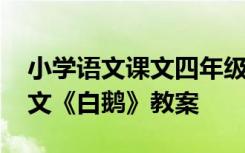 小学语文课文四年级白鹅教案 四年级上册语文《白鹅》教案