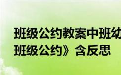 班级公约教案中班幼儿园 幼儿园主题教案《班级公约》含反思