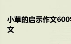 小草的启示作文600字记叙文 小草的启示_作文