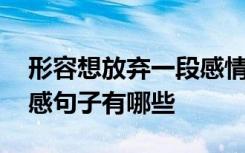 形容想放弃一段感情的说说 想放弃感情的伤感句子有哪些